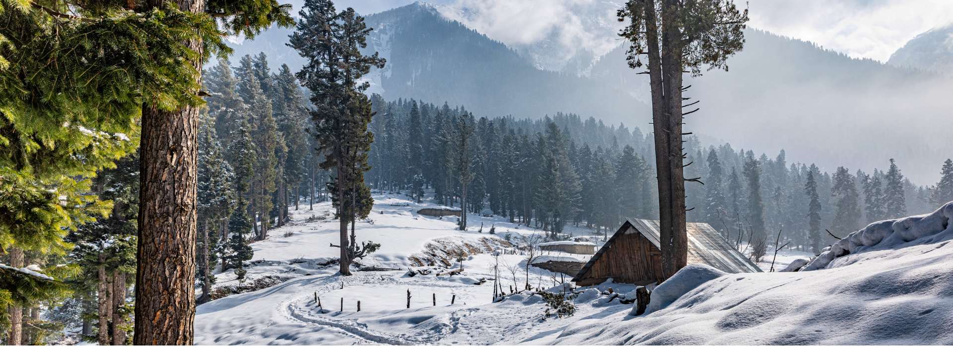Kashmir Tour 5 Nights 6 Days