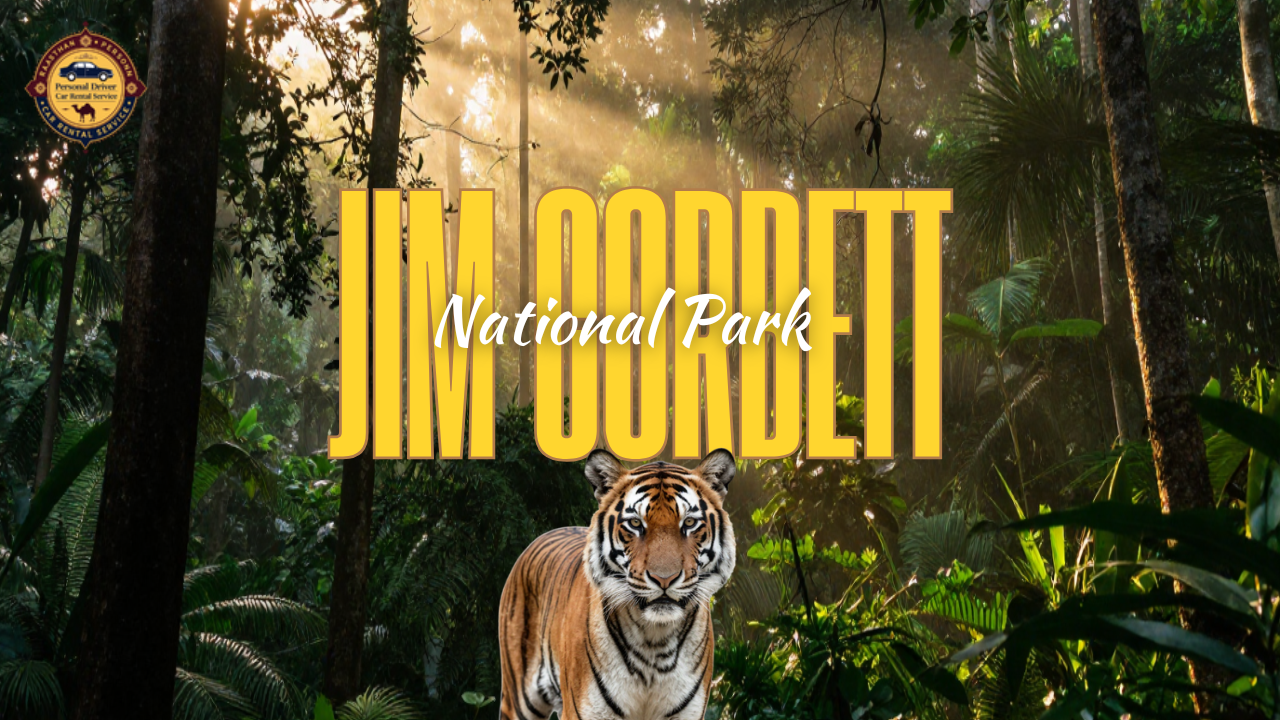 2 Nights 3 Days Jim Corbett Tour with Private Driver