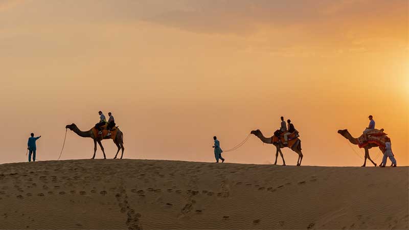 Rajasthan Tour with Private Car and Driver | Private Tours
