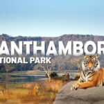 Golden Triangle Tour Package With Ranthambore With Private Driver