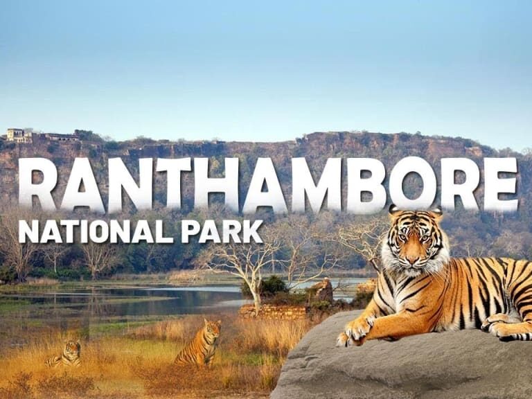 Golden Triangle Tour Package With Ranthambore With Private Driver