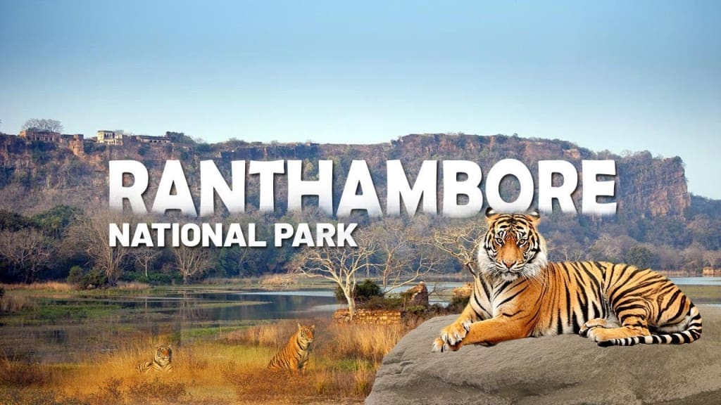 Golden Triangle Tour Package With Ranthambore With Private Driver