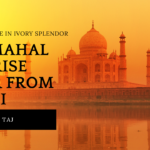 Taj Mahal Sunrise Tour from Delhi with Private Driver with Car