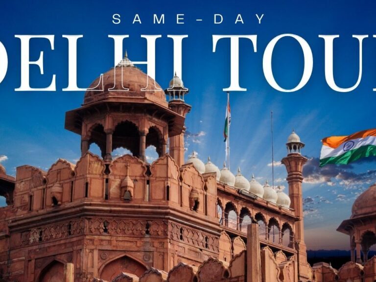 Delhi Sightseeing Tour with Private Driver